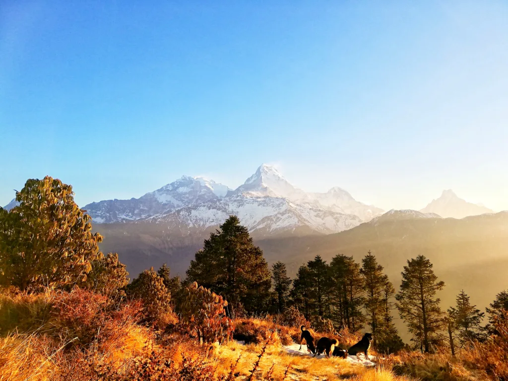 Nature beauty of Nepal